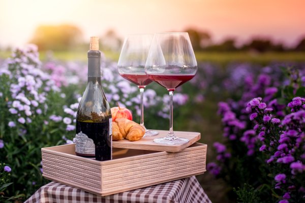 Вино и цветы