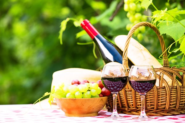 Вино на природе