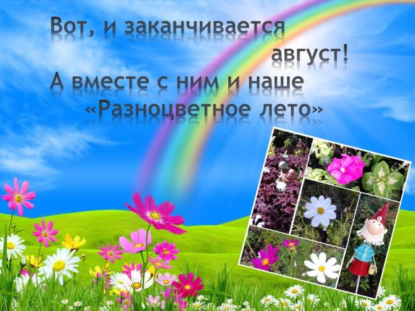 Девиз группы капелька