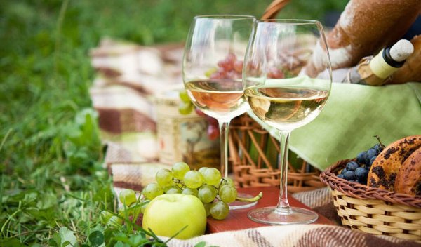 Вино на природе