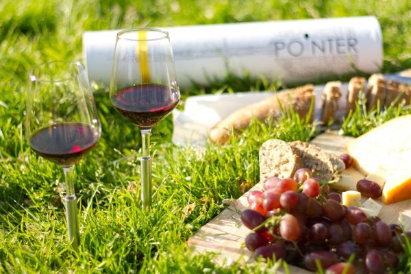 Бокал шампанского на природе