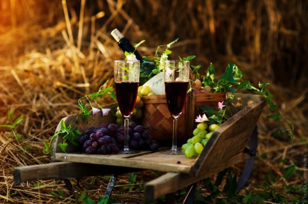 Вино на природе вечером
