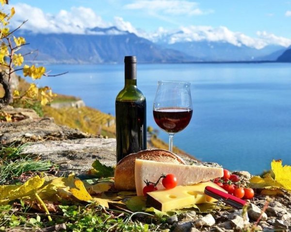 Обед на фоне красивого пейзажа