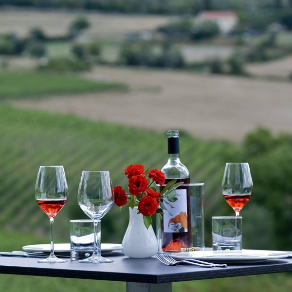 Фужер вина на природе