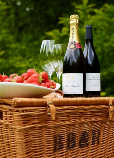 Пикник сыр вино