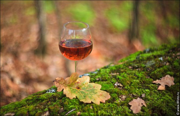 Бокал вина осень