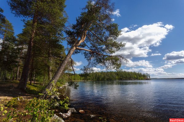 Озеро Пертозеро Карелия