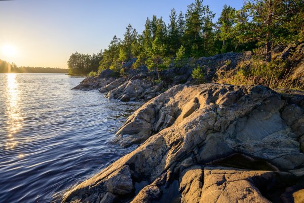 Карелия лес Ладога