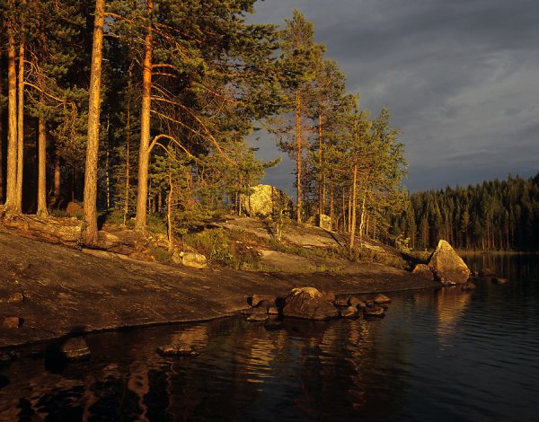 Природа Северной Карелии