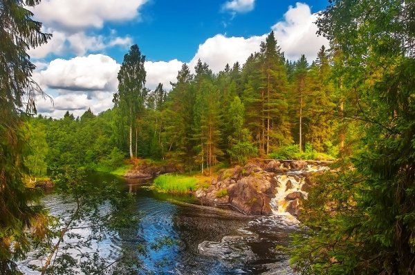 Таежные леса Кивач