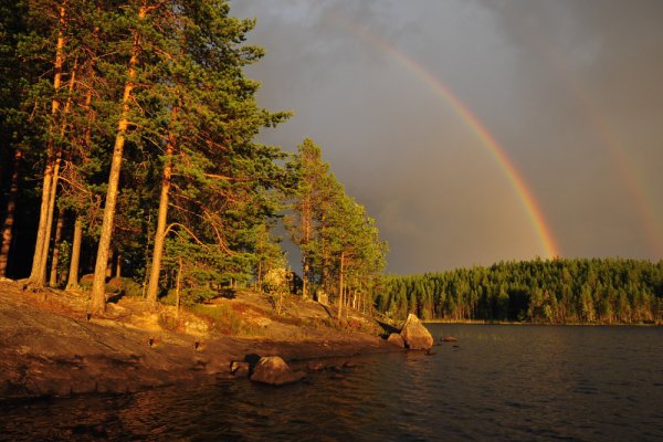 Озеро Тулос Карелия