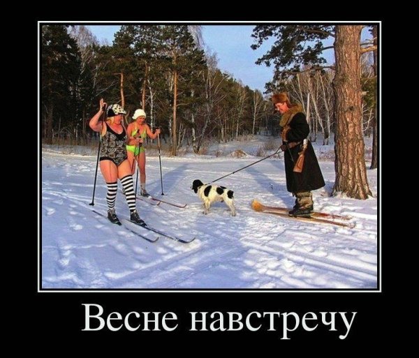 Смешные лыжи