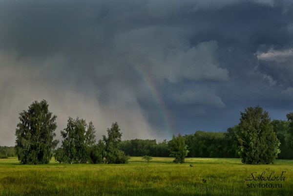 Рисунок летний вечер карандашом