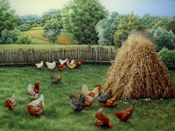 Деревенский дворик