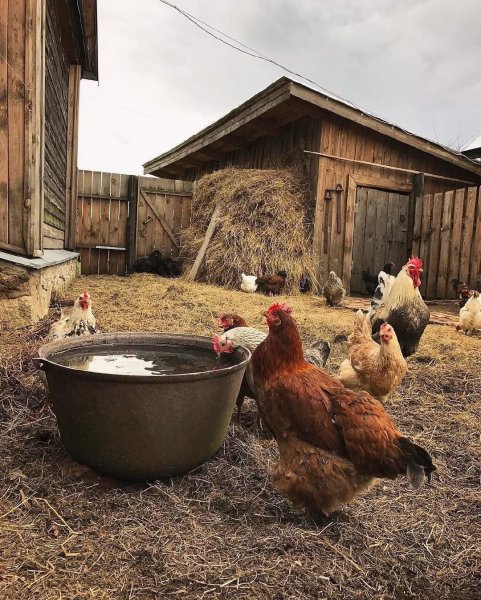 Жизнь в деревне