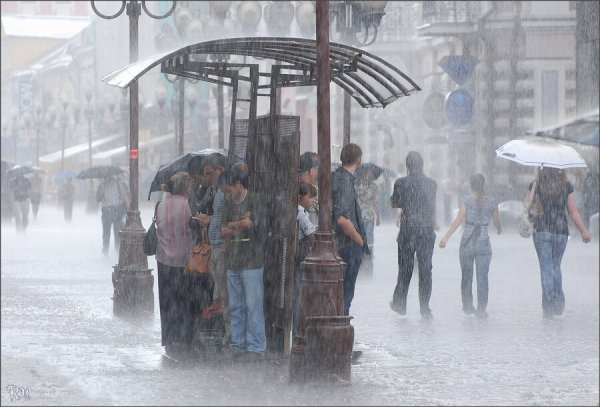 Карикатуры на Холодное лето