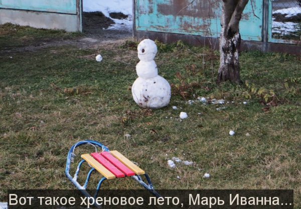 Анекдот про Хреновое лето