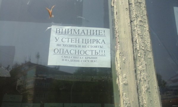 Смешные цитаты про погоду