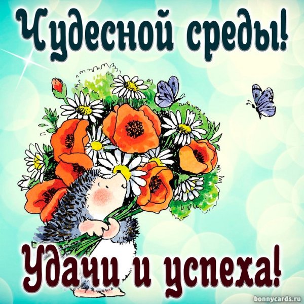 Открытки с добрым утром среды