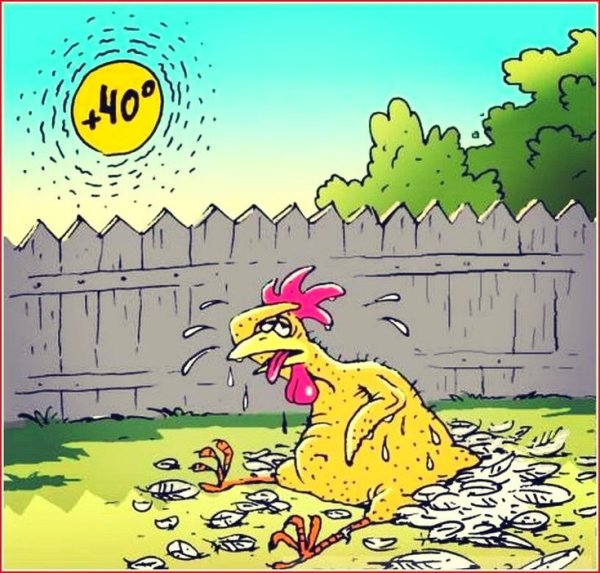 Шутки про жару