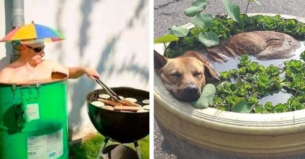 Приколы о жаре