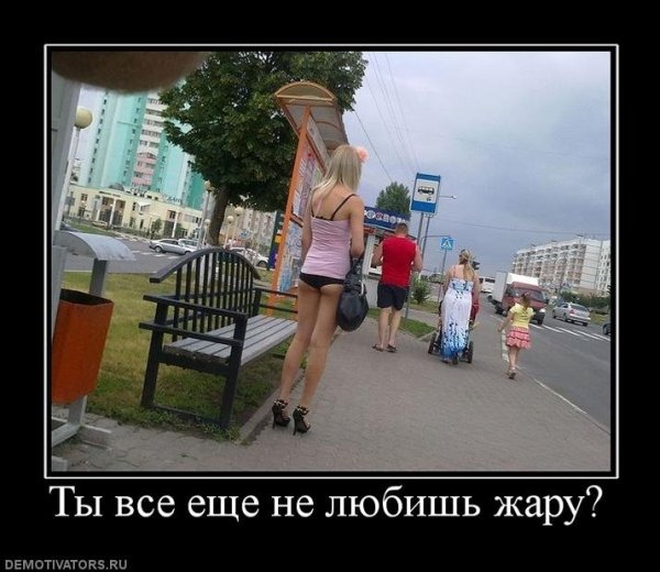 Жара демотиваторы