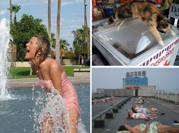 Жара прикольные