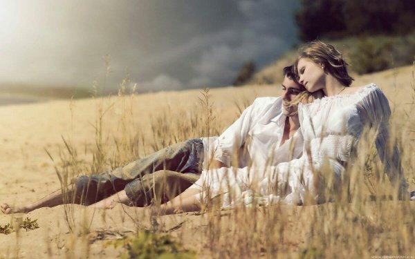 Художник Дональд Золан брат