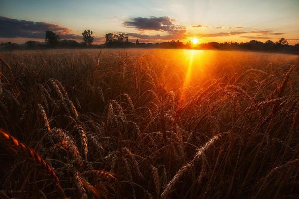 Август природа