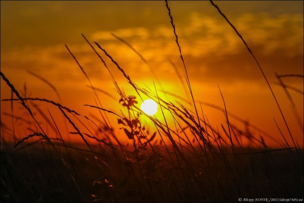 Август красивый закат