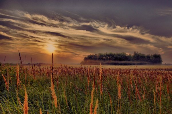 Летний закат в поле