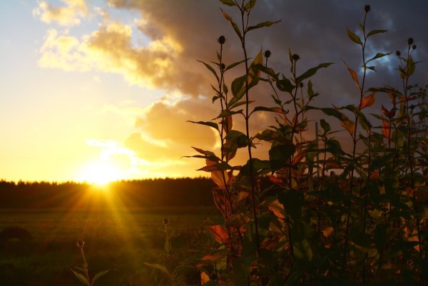 Осенний рассвет