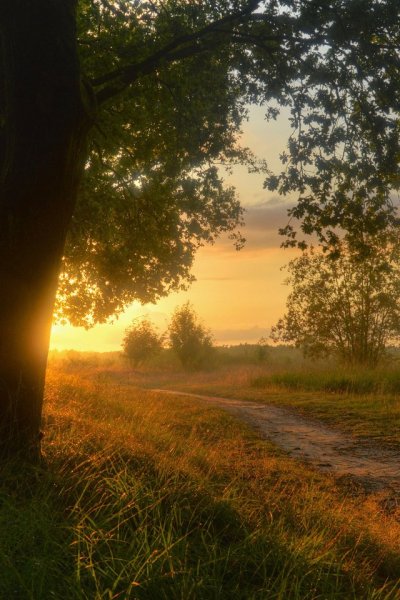 Кочнев Сергей пейзажи закаты