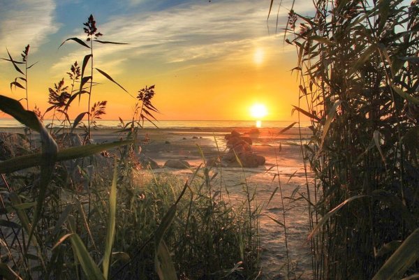 Августовский закат