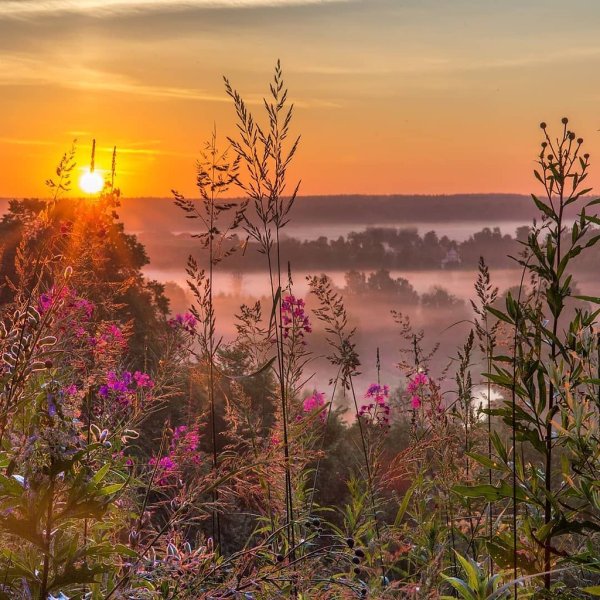 Народный календарь 3 августа Онуфрий молчаливый