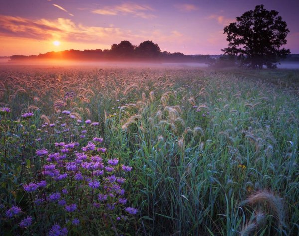 Солнечное утро в деревне