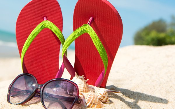 Собака в очках