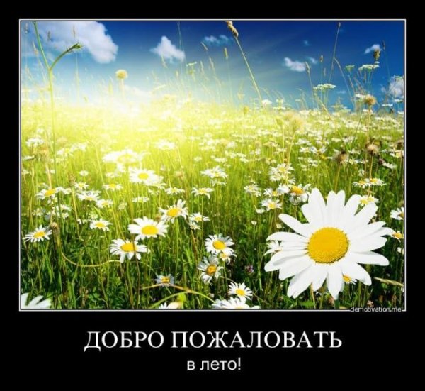 Путешествие в страну цветов