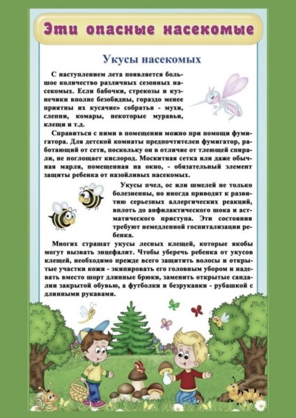 Консультация для родителей лето