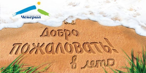 Летний букет