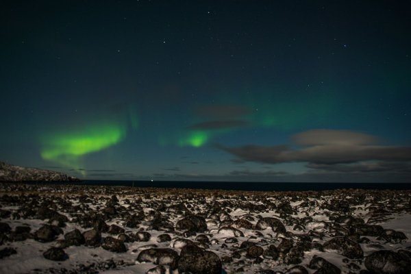 Остров Врангеля заповедник