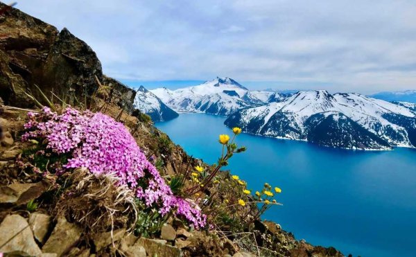 Природный комплекс заповедника остров Врангеля