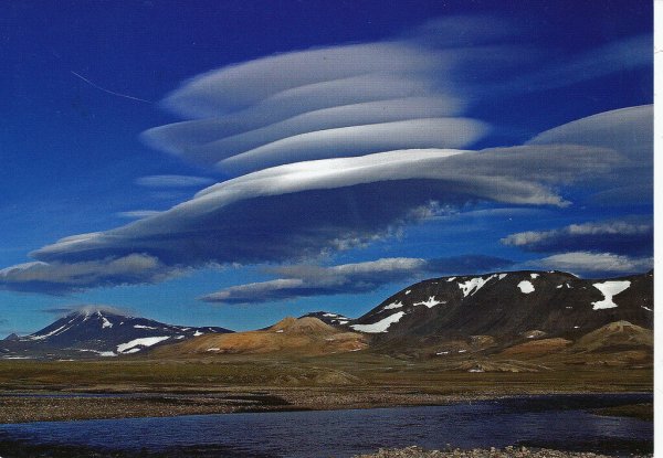 Чукотка остров Врангеля