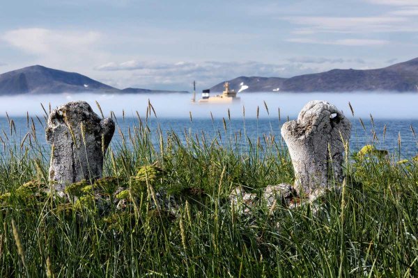 Природный комплекс заповедника остров Врангеля