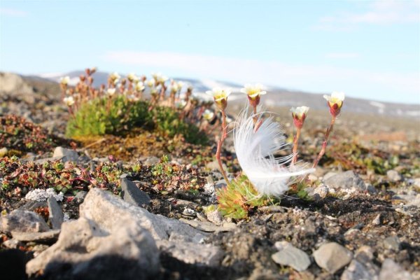 Национальный парк земля Франца Иосифа