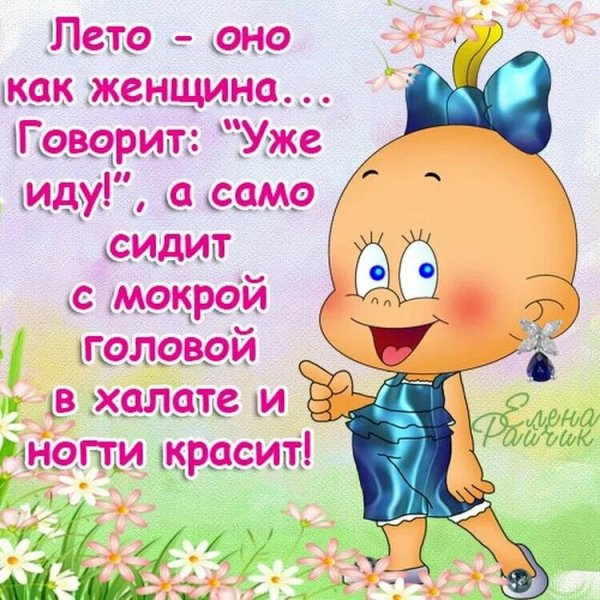 Август юмор