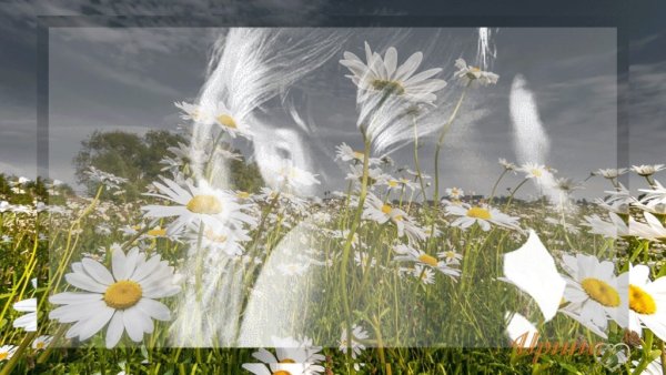 Анимированная пшеница