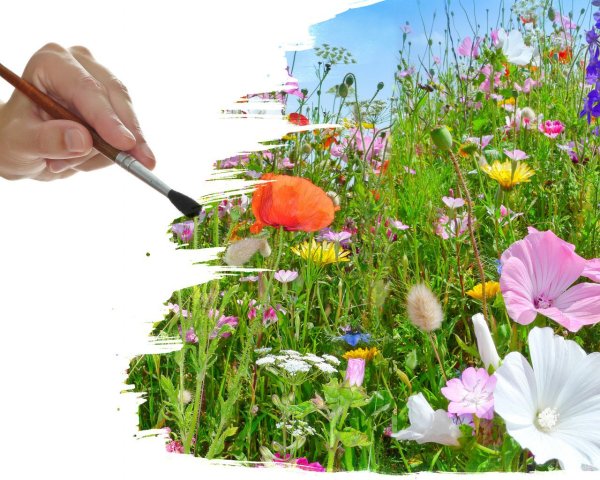 Яркие краски детства