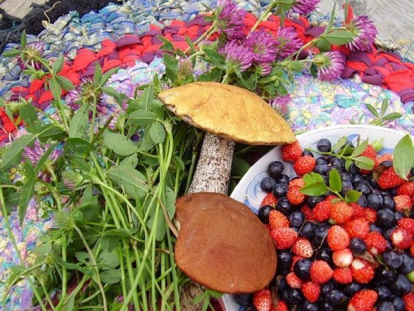 Грибы и ягоды