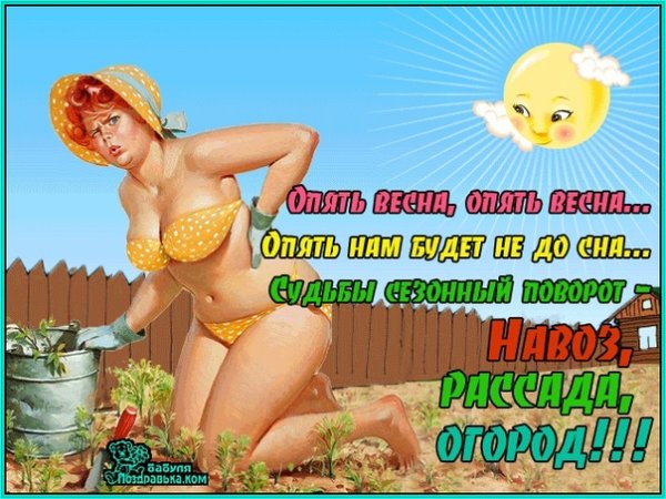 Смешное про дачу